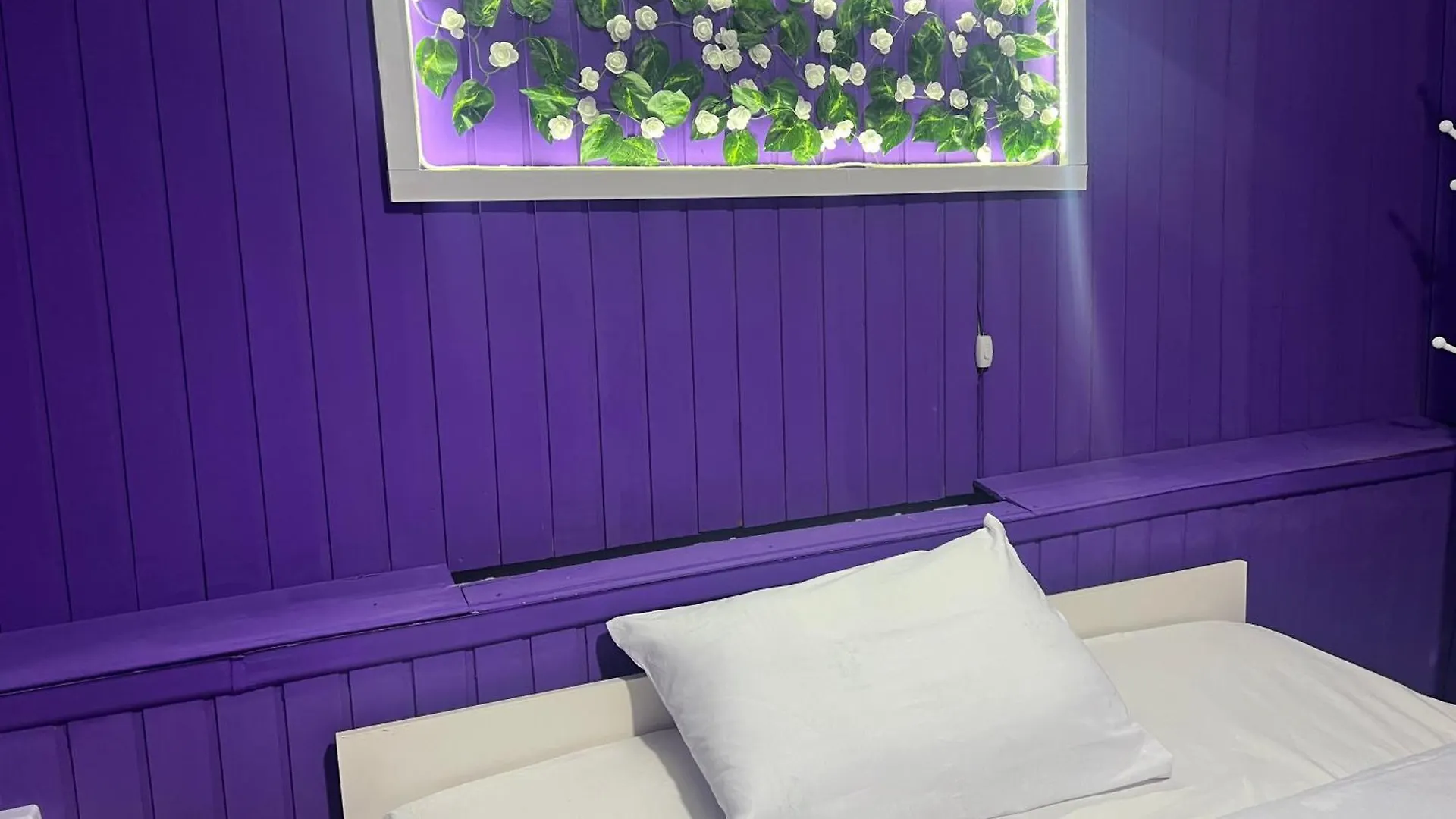 באקו Eco Hotel & Hostel
