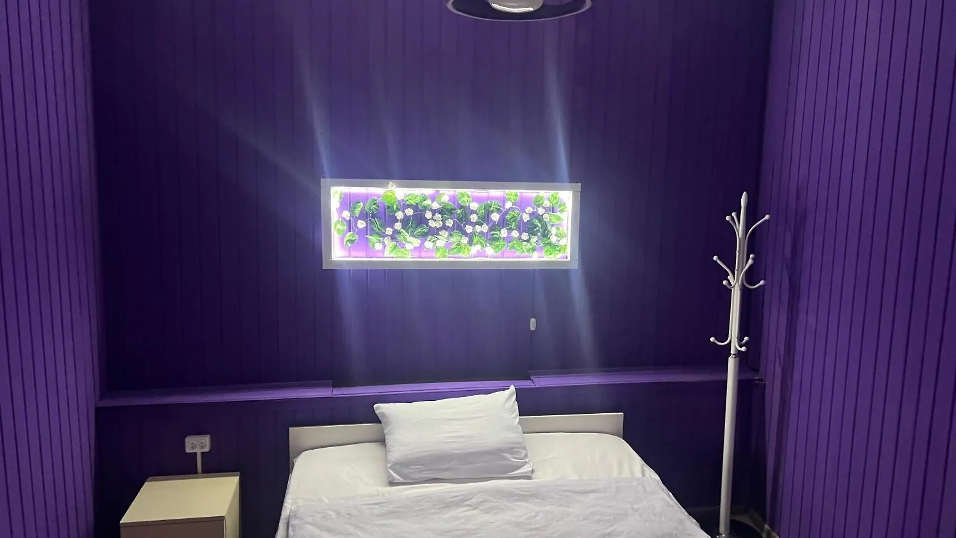 Eco Hotel & Hostel Baku