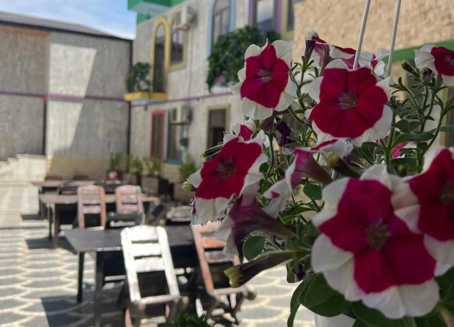 Eco Hotel & Hostel Baku