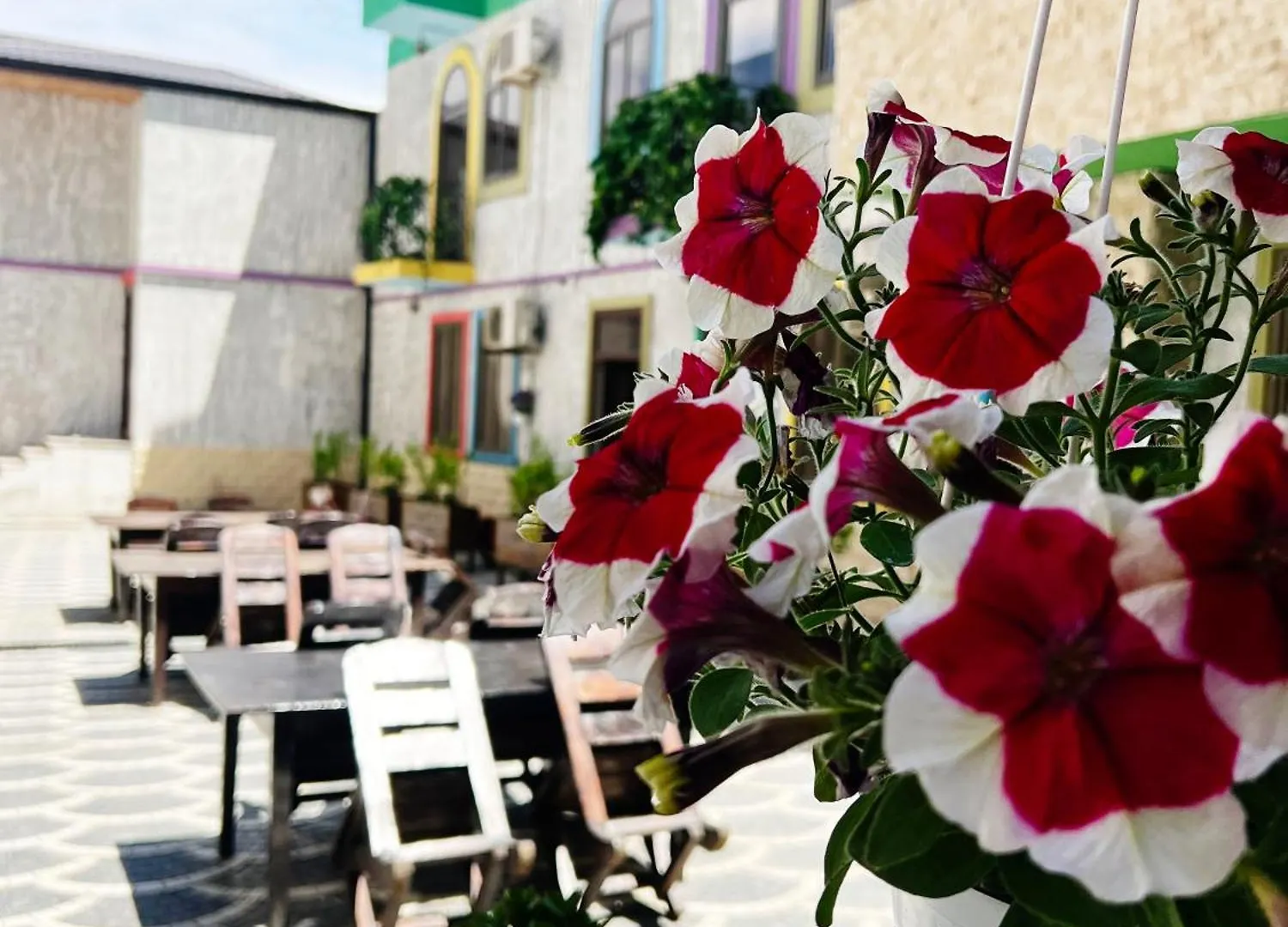 באקו Eco Hotel & Hostel