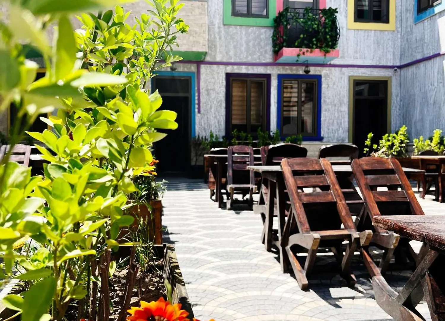 באקו Eco Hotel & Hostel אזרבייג'ן